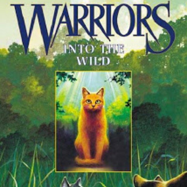 Hey! I am doing an AMV for warriors; Into the Wild! I need voices! Please audition! I will be putting up the lines and rules in a bit! Thanks! Follow me on IG!