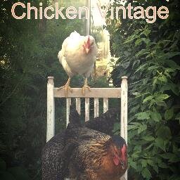 chickenvintage's profile picture. 