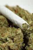The names Jake, young enough to make poor decisions, old enough to learn from them P.S I smoke a lota weed