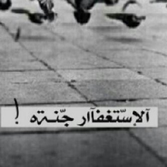 الخاص ممنوع.                                              - لا شّقاء لِمن إستغفَر .