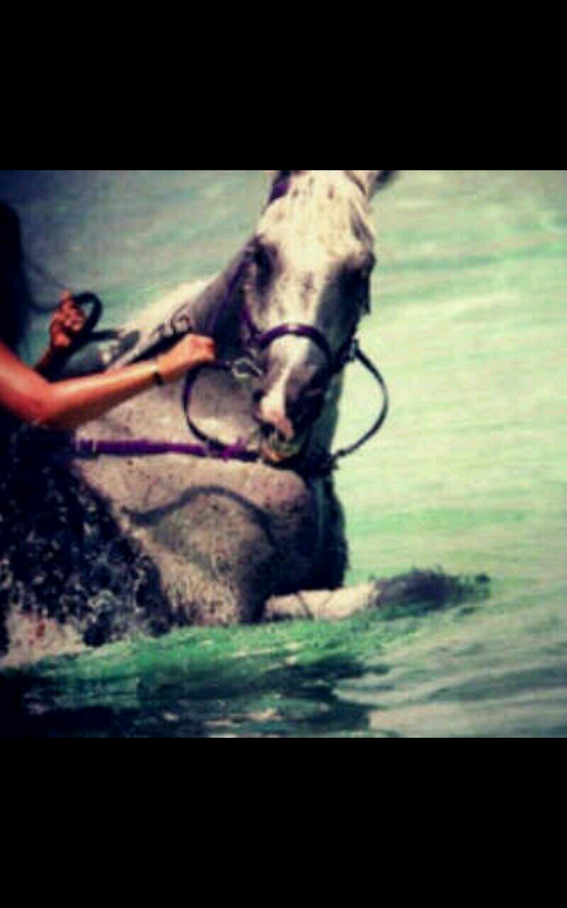 ‏أحببت روحححه ♥♥