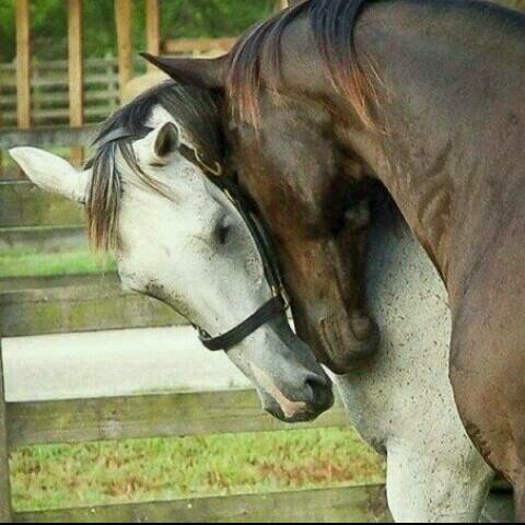 starty60's profile picture. 