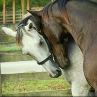 دًمٌوَوَوَوَوَوَعٍ (@starty60) Twitter profile photo