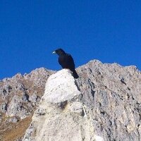 Johnny (@praiafuturo) 's Twitter Profile Photo