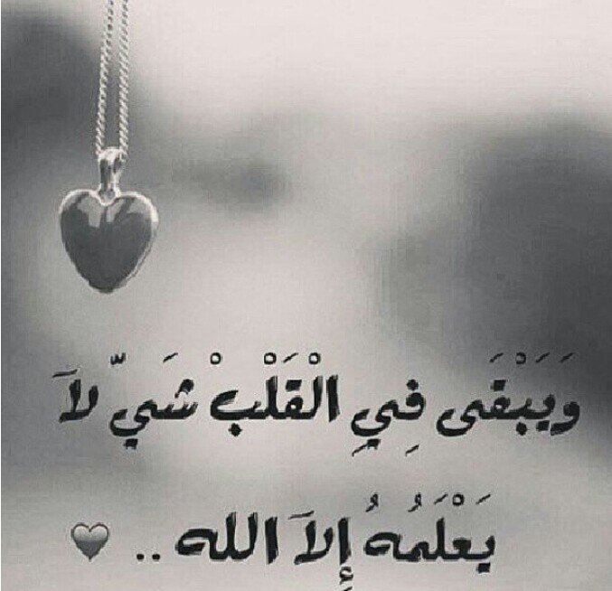حب لأخيك ما تحبه لنفسك توتير هو عالمي الخفي الذي أهرب إليه من الواقع