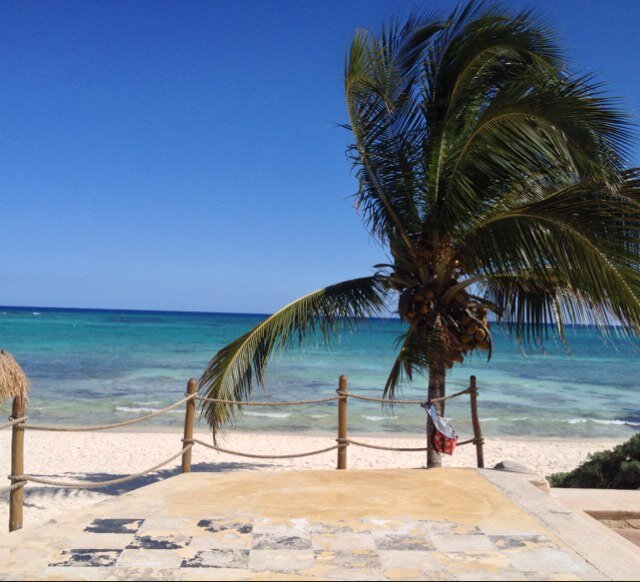 Osgelato's profile picture. 