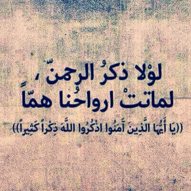 خصصت هذا الحساب لكل ما تبغا، ( نكت، أخبار، رياضة، أسلامي والى تبي ❤ )، شاركنا بتويتاتك الجميلة وراح نعمل لها ريتويت، #الحمد_لله دوماً، Instagram : Othmanaba22