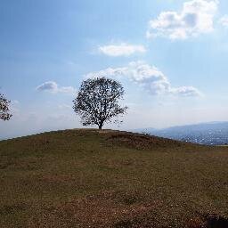 海外に出てたらいつの間にか日本がなんか変なことになってしまってて帰れなくなってたら在住国もおかしくなっててどうしようなロスジェネ。在英20年+

20+年ぶりにトルコに遊びに行って未だハマり中。

山本太郎断固支持

ガザ空爆即時停止！ceasefire now!

鍵垢フォローはブロックします