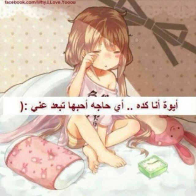 ﷽

«قل هو الله احد ۞ الله الصمد ۞ لم يلد ولم يولد ۞ ولم يكن له كفواً احد»