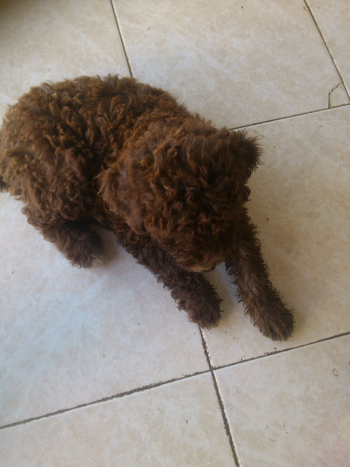 soleycj86's profile picture. 