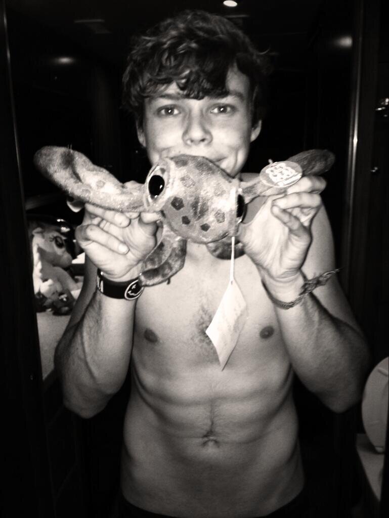 I LOVE TURTLES AND ASHTON!!!!!