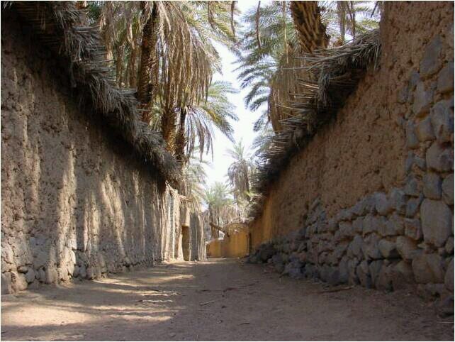 ‏﴿ أَنتَ وَلِيُّنَا فَاغْفِرْ لَنَا وَارْحَمْنَا ۖ وَأَنتَ خَيْرُ الْغَافِرِينَ ﴾