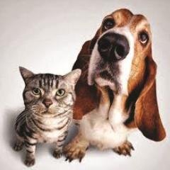 Banfield pet insurance is not an insurance company, but a membership plan that offers wellness benefits en United States.