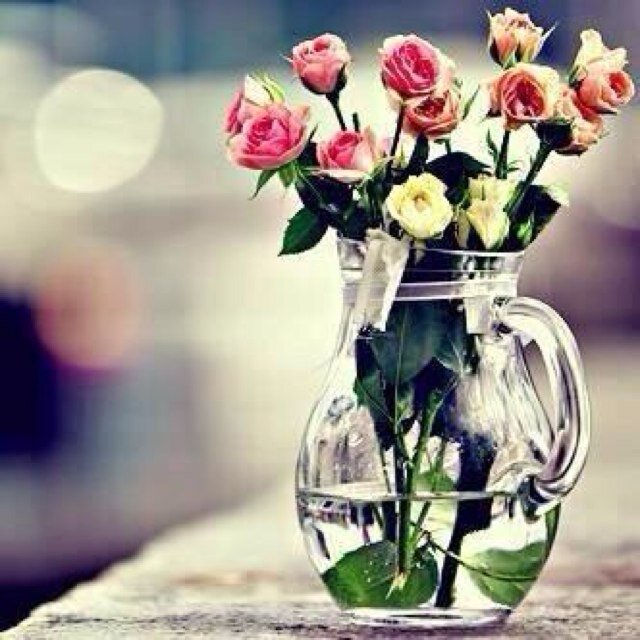 Rfah22's profile picture. 