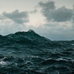 surfing, music Without lies, without voilence.