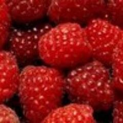 debtsotisub's profile picture. Ищу мужа! Найду-убью!