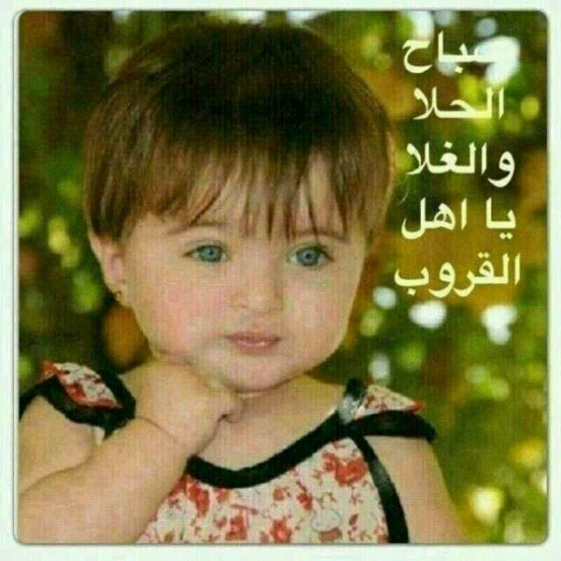 nore115's profile picture. 