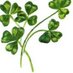 Peggy McGuckin (@peggymcguckin) Twitter profile photo