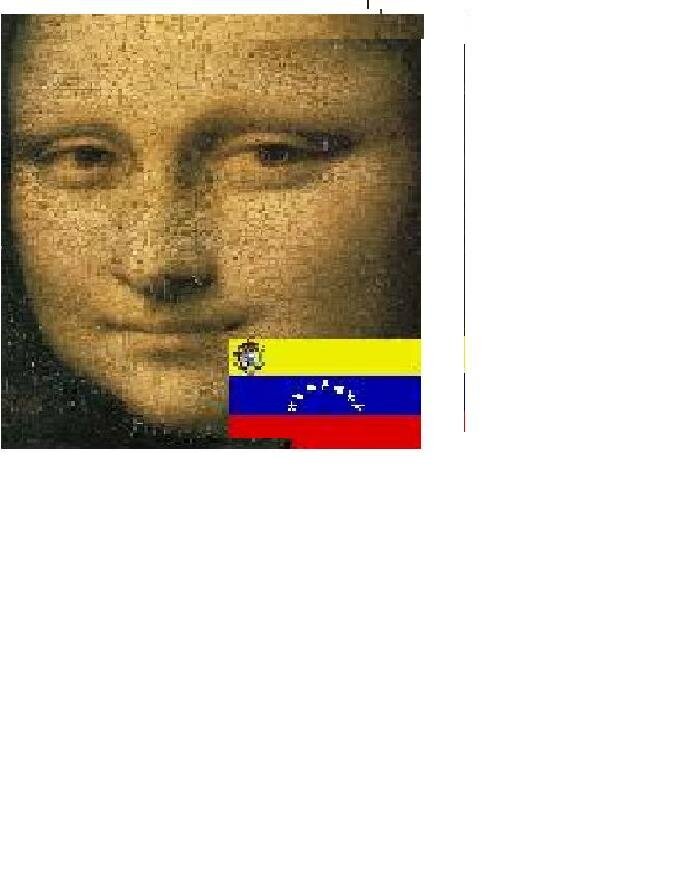 Amante de la música, la libertad, la justicia y la naturaleza. Caracas - Venezuela