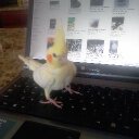 JONATHAN MENENDEZ - @JONATHANMENEND4 - Twitter