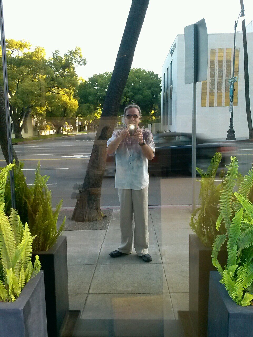 Amigdaloid8Shev's profile picture. 