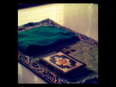 ‏‏‏‏‏‏‏لانني احب عائلتي واحب شخص اسعدني كثيرا ولانني اخاف عليهم من عثرات الحياة والدعاء حب خصصت هذا الحساب صدقه لهم جاريه مدى حياتهم ومماتهم♥