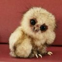 samuel casanova - @Casanova_Sam11 - Twitter