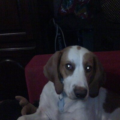 Carmin Paige Baxter (@CarmPBaxter) / X