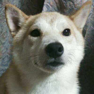 さわこ