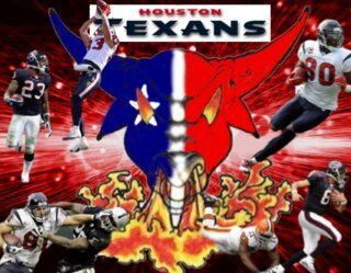 Big aj lee lover, #1texan fan,