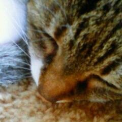 esco_twcs's profile picture. test中。/気まぐれすぎます。急に現れて
たまに呟きます。たまに歌います。備忘録でもあるのです。一応生きてます。