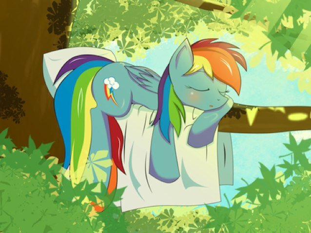 Male,16,brony,martial artist tricker. | Main account is @AppleDash_fan97 follow, if you want to.
