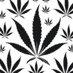 Welcome to the twitter page of The Society of Cannacrats, for any *high* public member for the advocacy of cannabinocracy.  blaze up