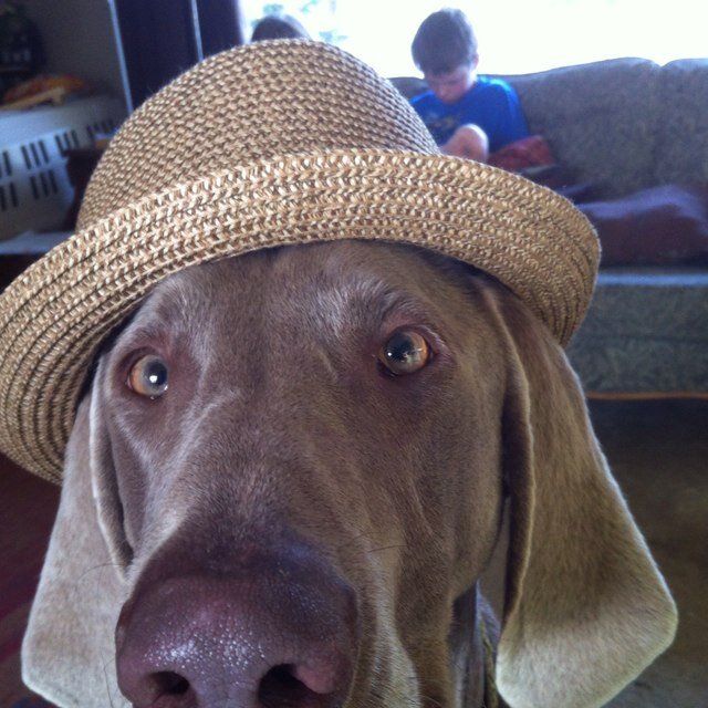 SamTurley66's profile picture. 