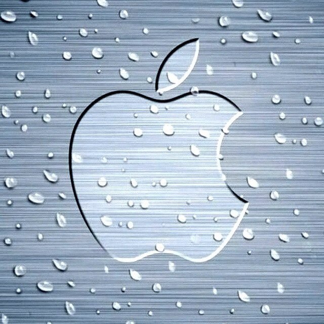 samitnk's profile picture. 