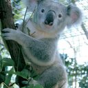 erin tan - @erintan4 - Twitter