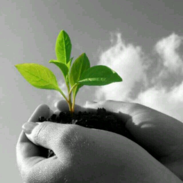 اسعى للنصر.