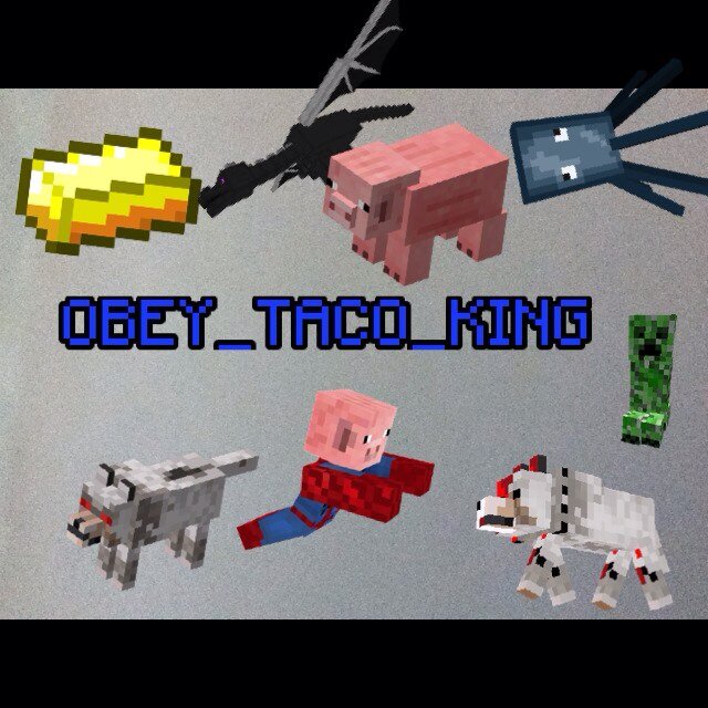 OBEY_TACO_KING's profile picture. Hello im jorge q sorry butt for @obeytacoking my profile i made it have be lost sorry guys one more thing stay eating tacos