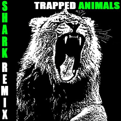 SHARK is a production/dj duo formed of 2 superstar scratch battle DJs, DJ ASTONISH, and RAD ANT.