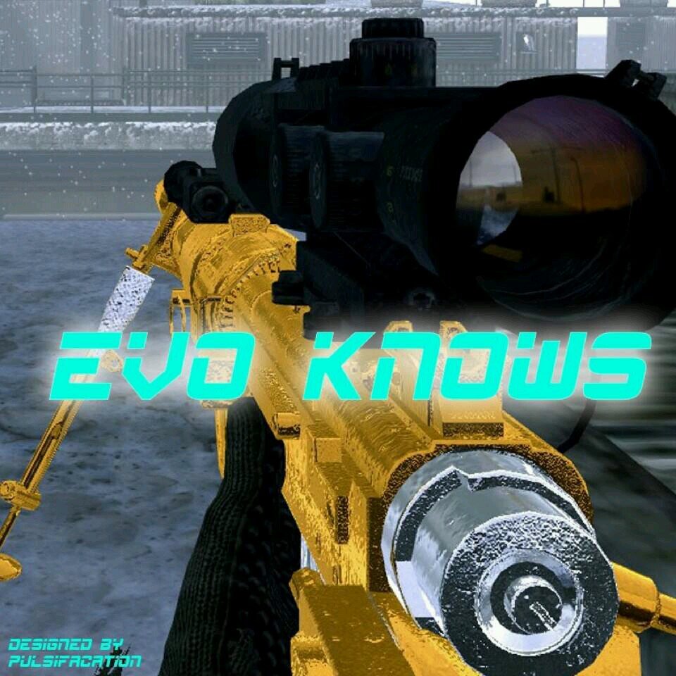 I'm Shawn I'm currently a F/A Trickshotter looking for atleast 1k