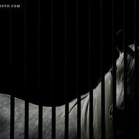 محب المحتسبين (@abdullah_basil) Twitter profile photo