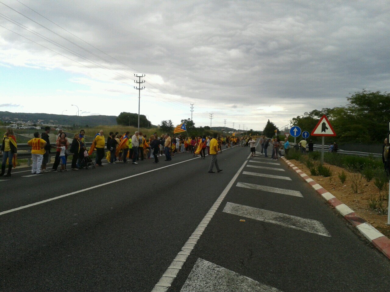 alerobasket's profile picture. 