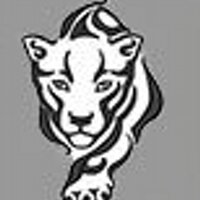 Pope Elem PTO (@popeelempto) 's Twitter Profile