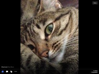 MarcyBethD's profile picture. 