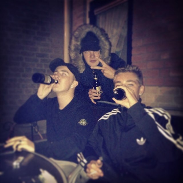 Bier