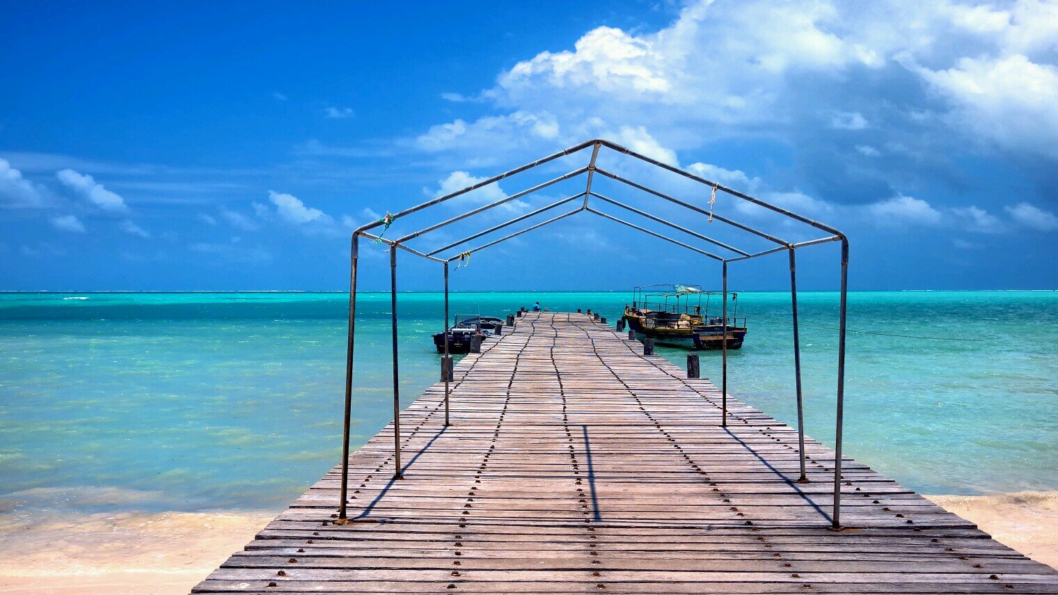 lovinglesbians's profile picture. 