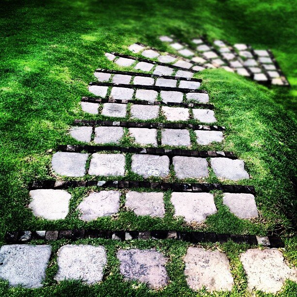 CarmelSames's profile picture. 