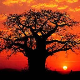 Travel &Tour Operator.Safari Lodge's & Hotels. Private Conservation Area