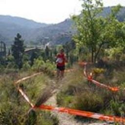 isidrec's profile picture. 