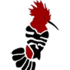 HoopoeSafaris's profile picture. A leading East African safari outfitter. http://t.co/0LzdYiZ2g2…http://t.co/NWgTRwhRtb